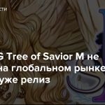 MMORPG Tree of Savior M не выйдет на глобальном рынке, но в Корее уже релиз