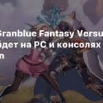 Файтинг Granblue Fantasy Versus: Rising выйдет на PC и консолях PlayStation